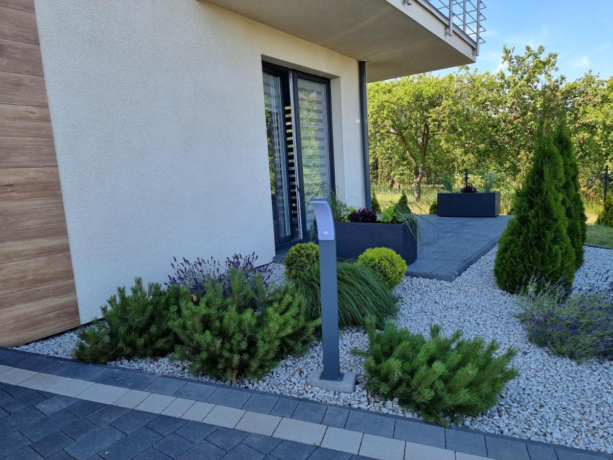 Markas Rewa Exteriér fotografie
